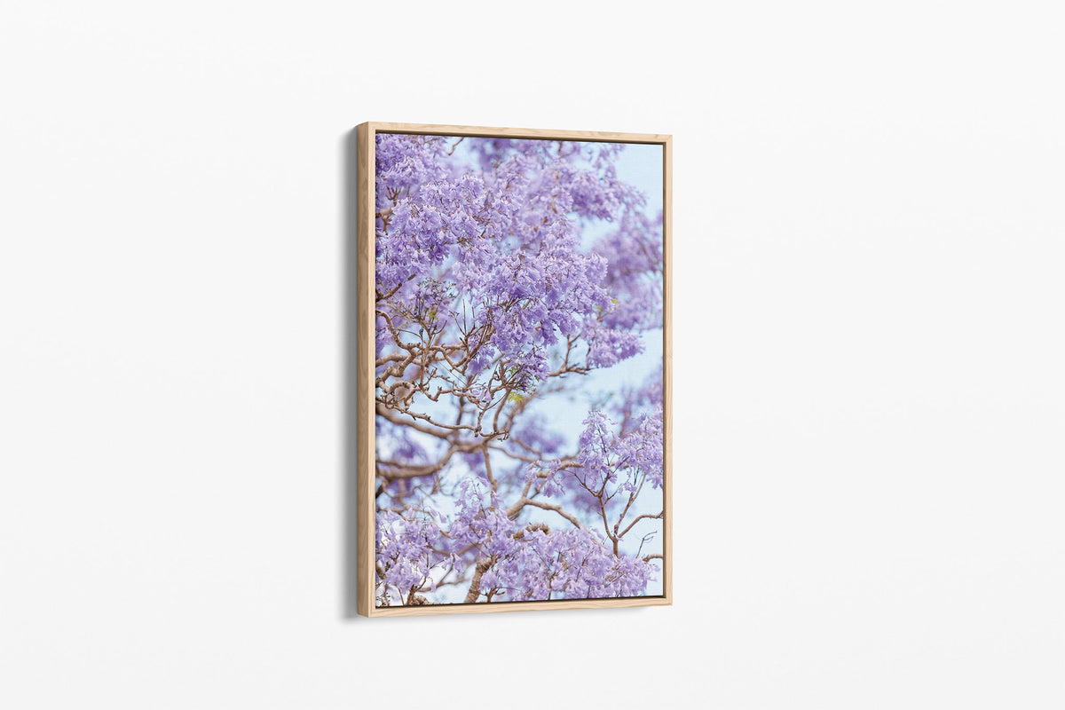Lavender Bloom - Canvas Float Frame Oak