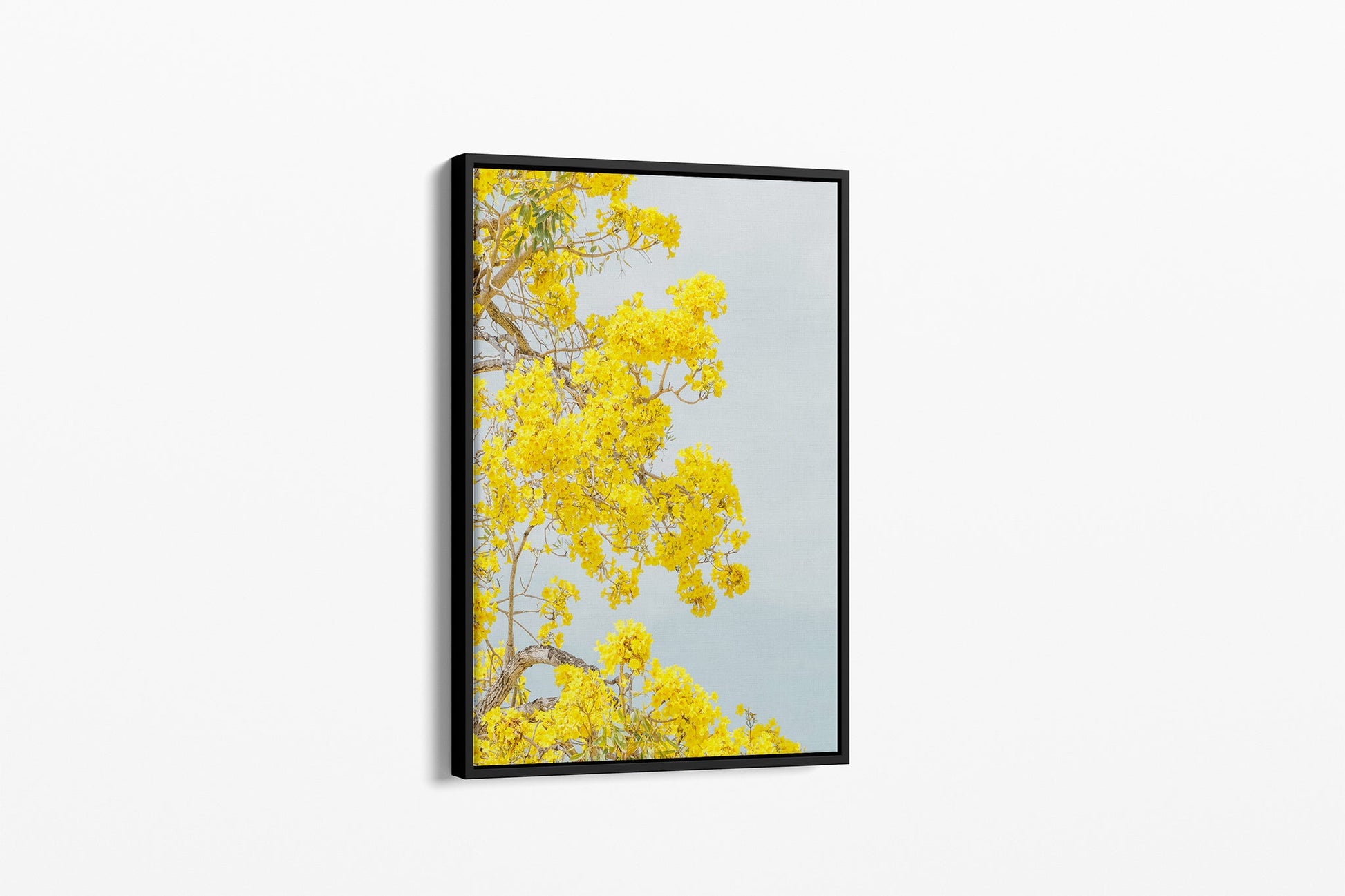 The Golden Trumpet print shown as a black float-frame canvas.