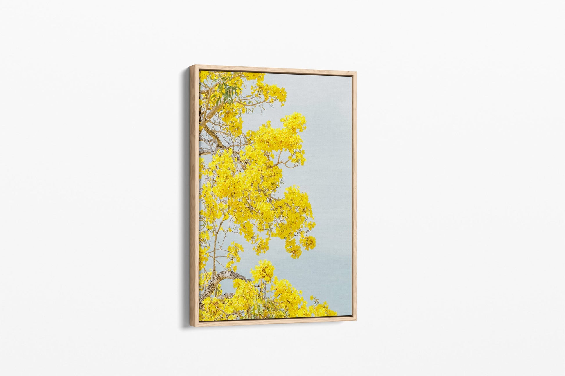 The Golden Trumpet print shown as an oak float-frame canvas.