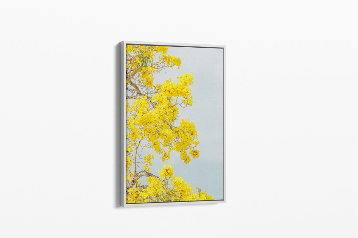 The Golden Trumpet print shown as a white float-frame canvas.