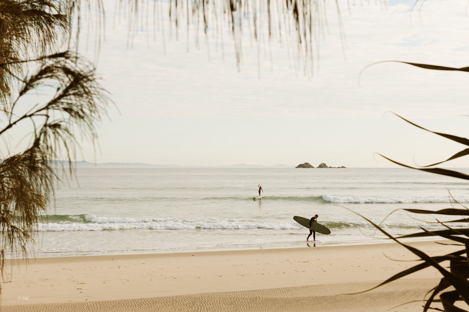 Pastel morning at Byron Bay, a longboarder crossing warm sand as a small wave peels behind, a surf wall print.