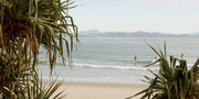 A longboarder rides a small wave at Byron Bay framed by pandanus fronds, Mount Warning beyond, a panoramic surf print.