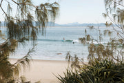 Two surfers on a small blue wave at Byron Bay seen through coastal pines, Mount Warning on the horizon, a coastal wall print.