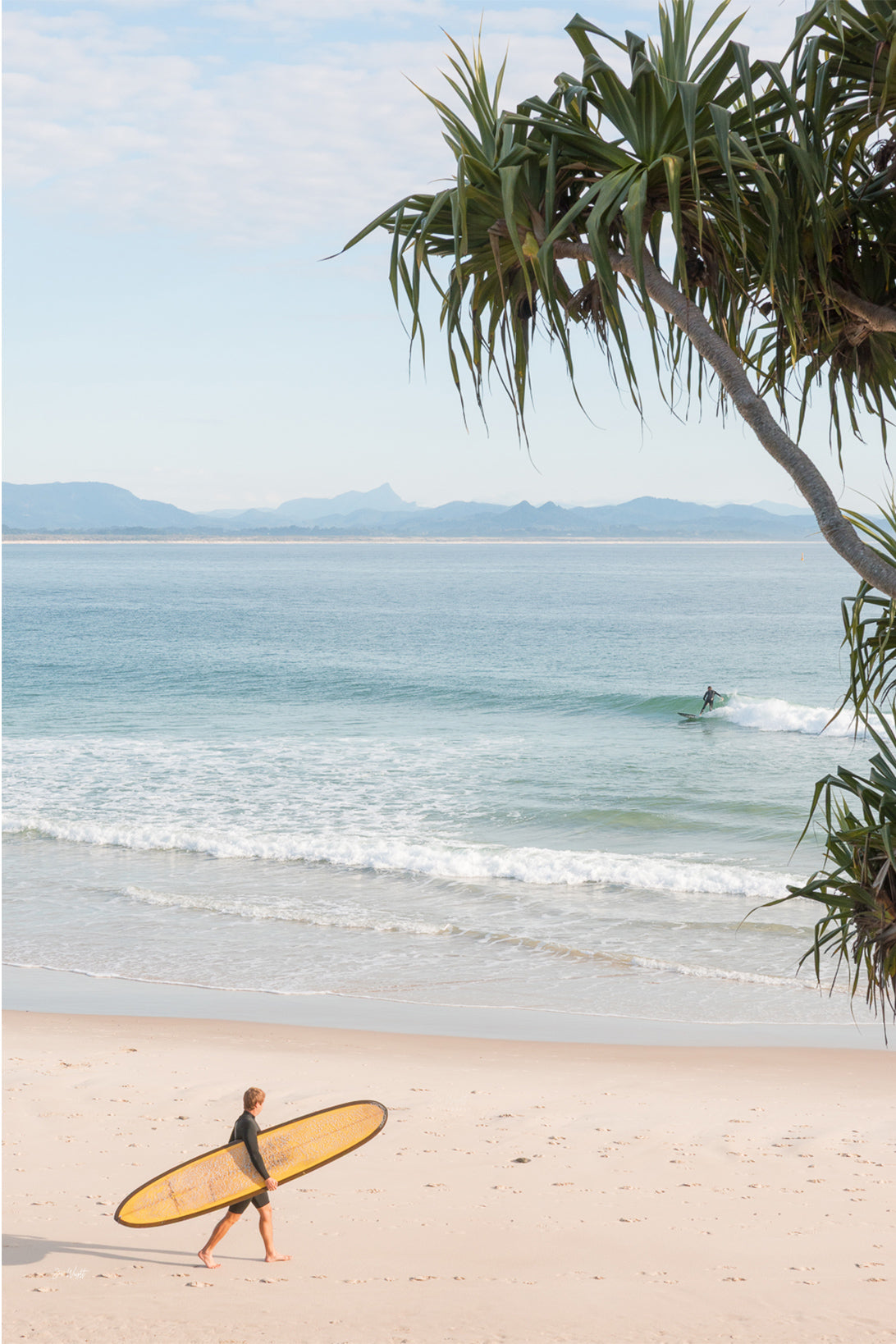 A surfer carries a yellow longboard across pale sand at Byron Bay, pandanus overhead and blue ranges beyond, a surf wall print.