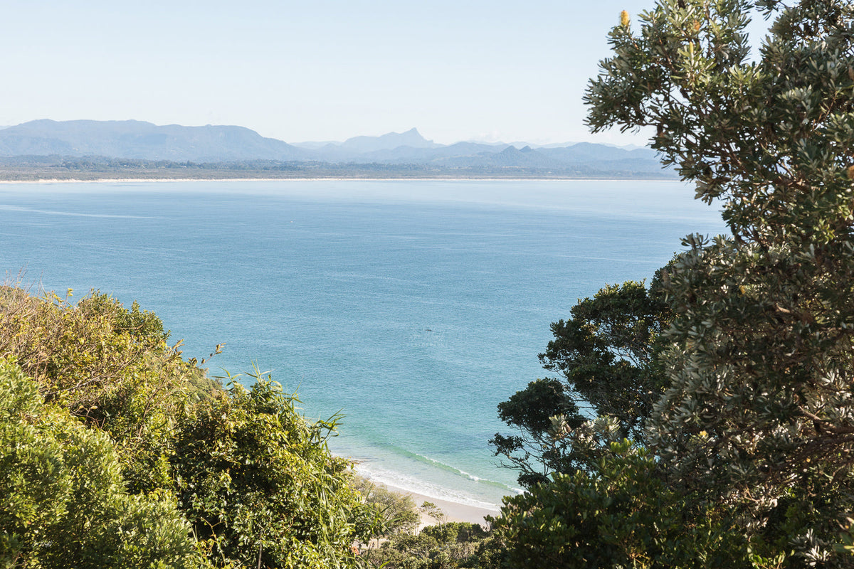 Elevated view over Byron Bay through coastal scrub, deep blue water and Mount Warning on the horizon, a coastal wall print.