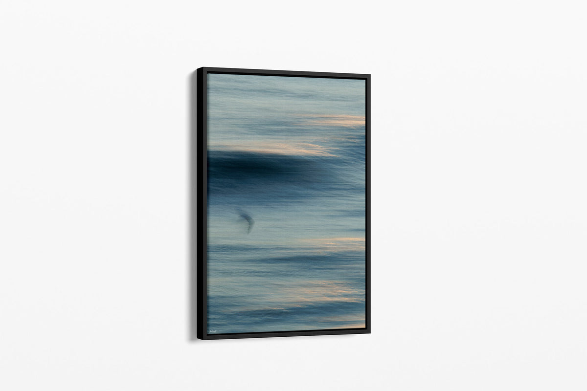Gull Drift print shown as a canvas in a black float frame.