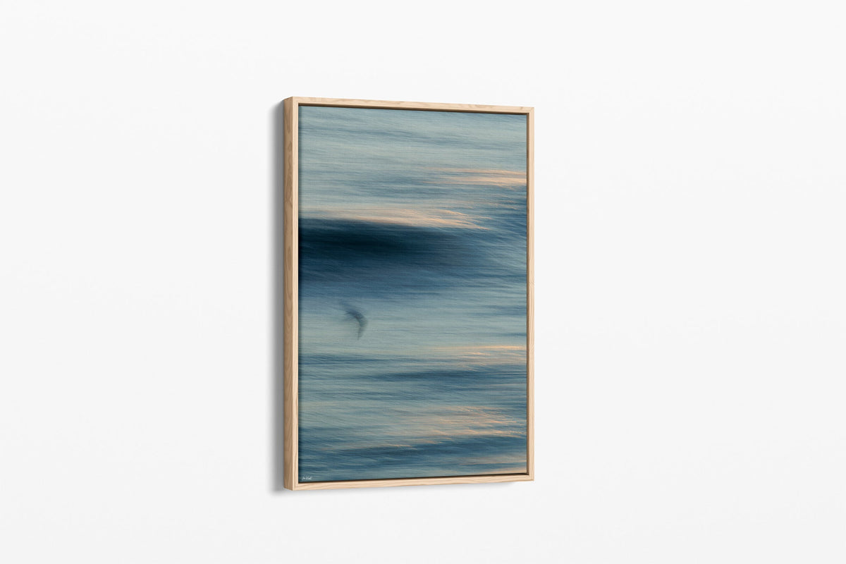 Gull Drift print shown as a canvas in an oak float frame.