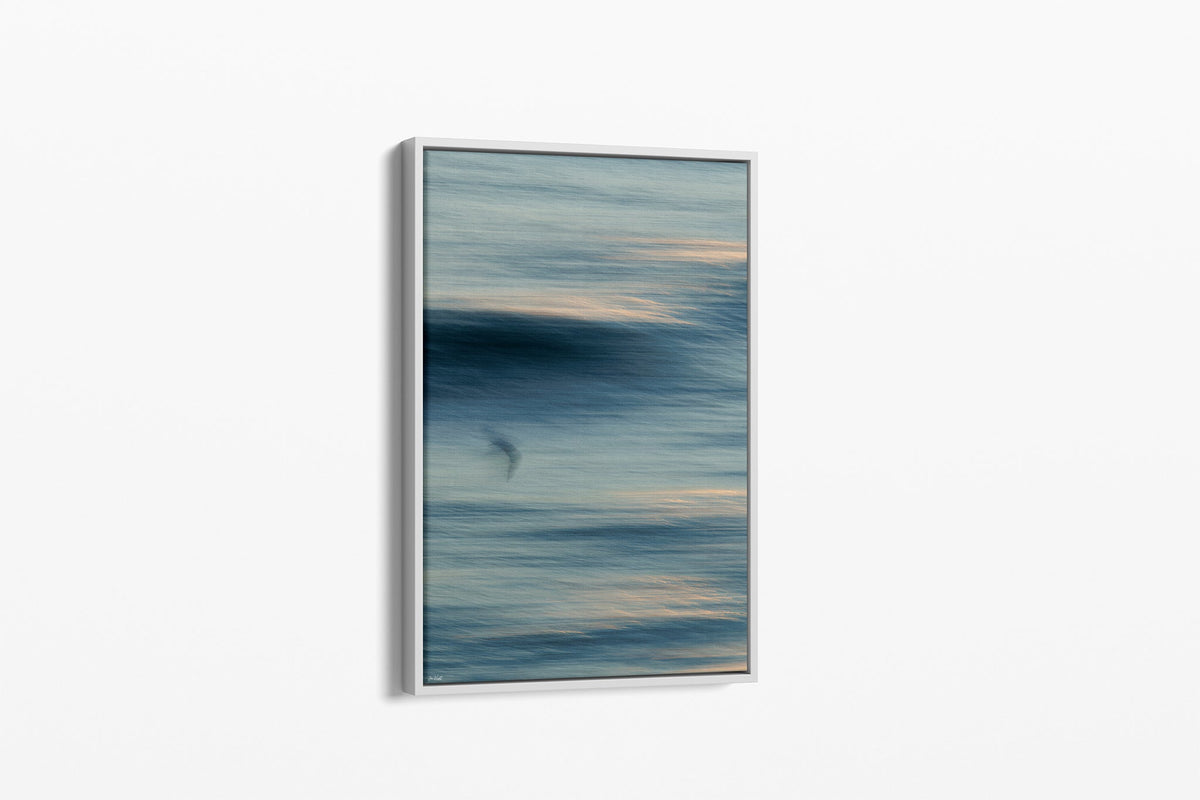 Gull Drift print shown as a canvas in a white float frame.