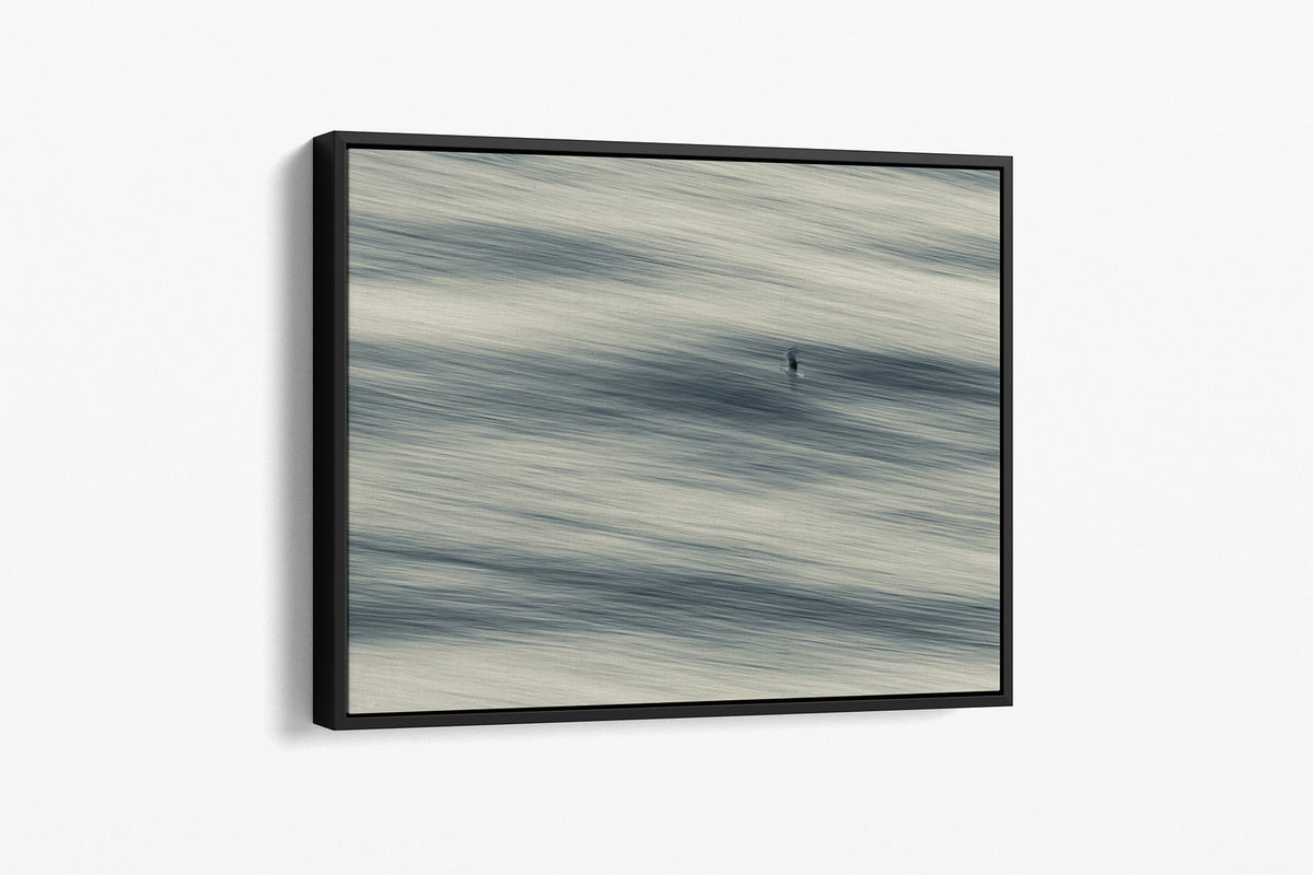 Lone Gull print shown as a canvas in a black float frame.