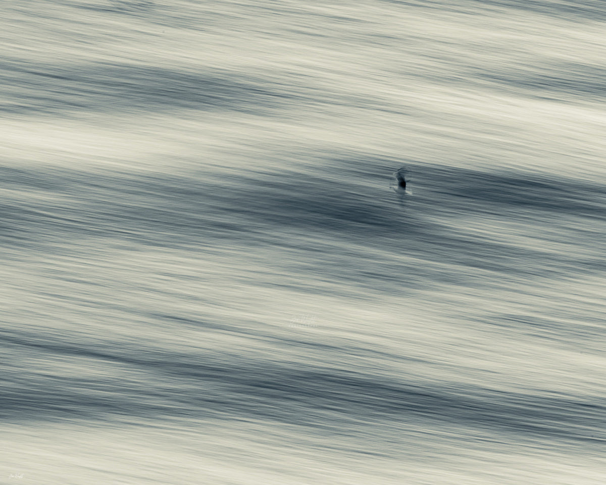 A single small dark gull over soft streaks of grey, cream and slate blue water, a minimalist slow shutter wall print.