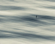 A single small dark gull over soft streaks of grey, cream and slate blue water, a minimalist slow shutter wall print.