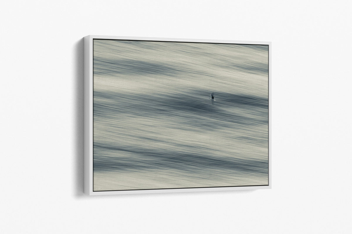Lone Gull print shown as a canvas in a white float frame.