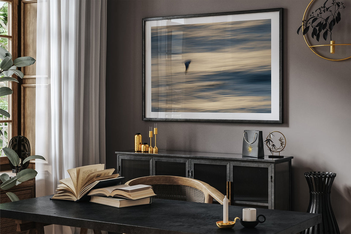 Gliding Gull print shown framed in black in a dark room.
