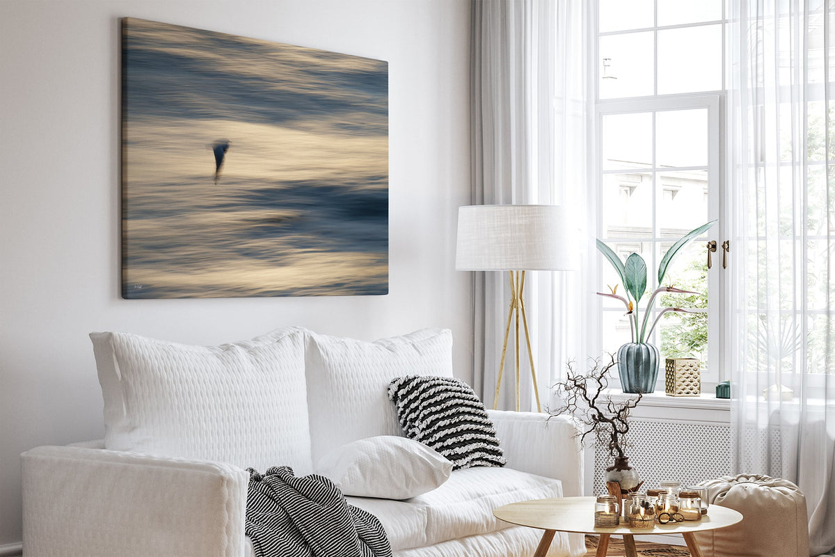 Gliding Gull print shown as a canvas print in a white room.