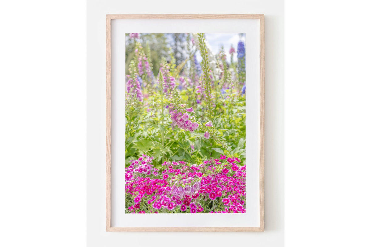 Foxglove garden print shown framed in oak with a white mat.