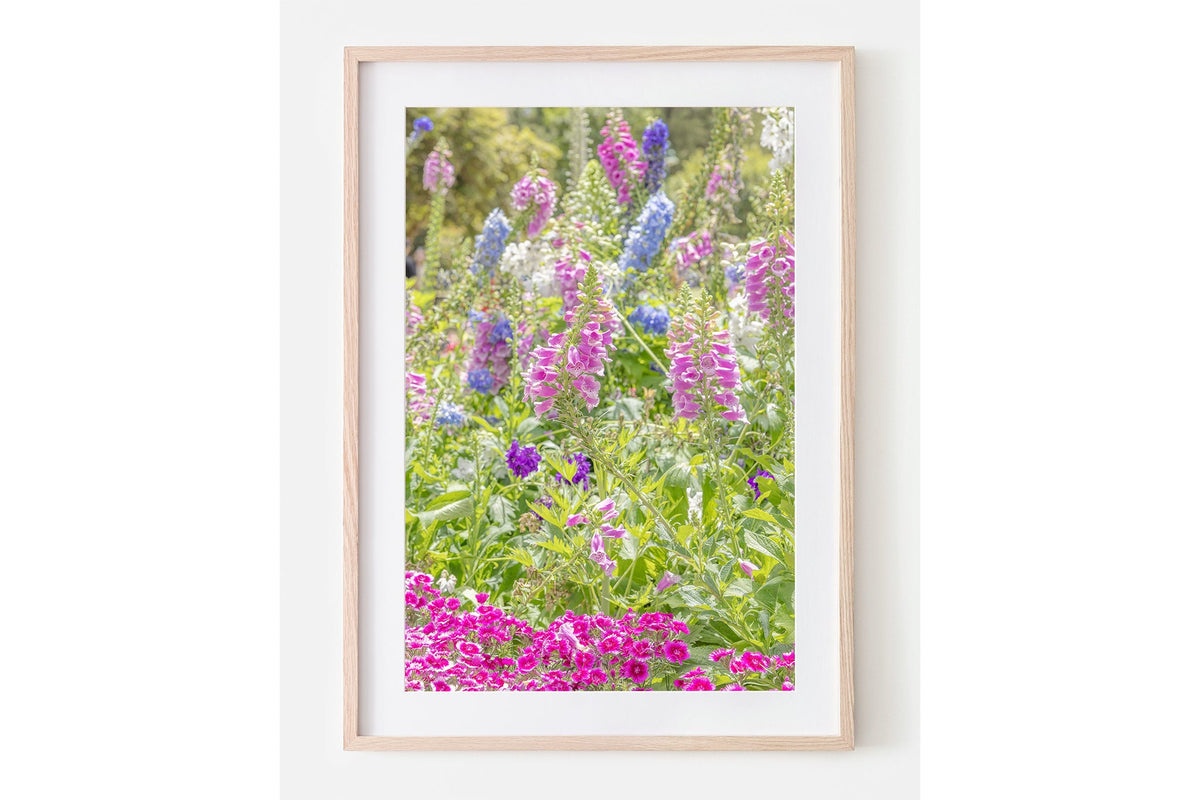 Cottage garden floral print shown framed in oak with a white mat.