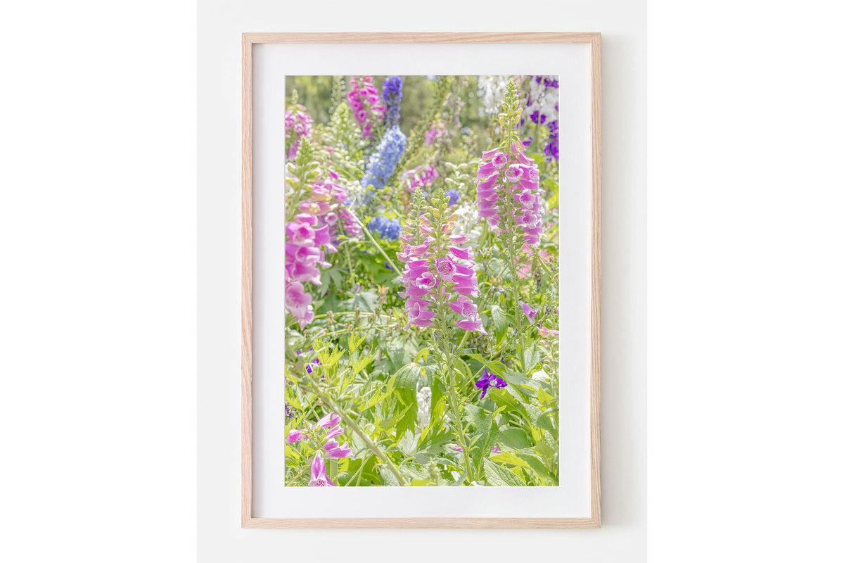 Foxglove and delphinium print shown framed in oak with a white mat.