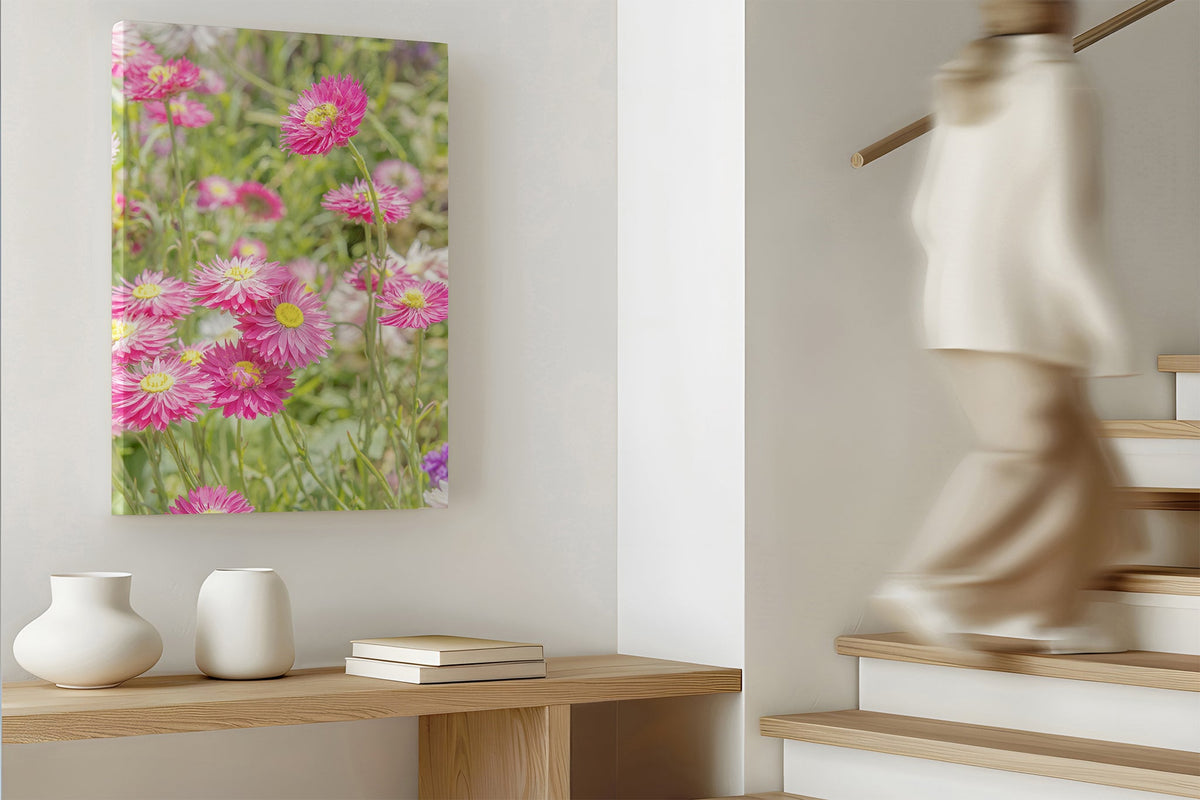 Pink strawflower print shown as a canvas print.