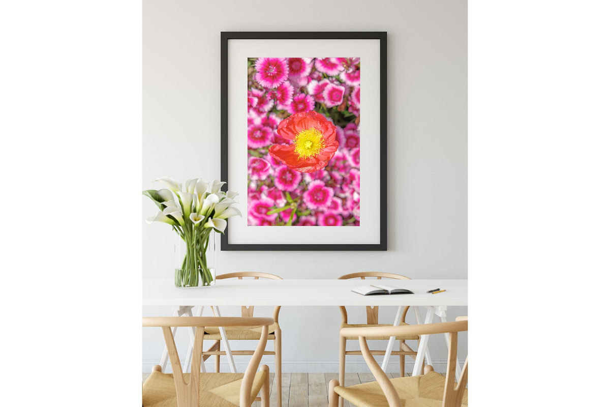Poppy and pinks print shown framed in black.