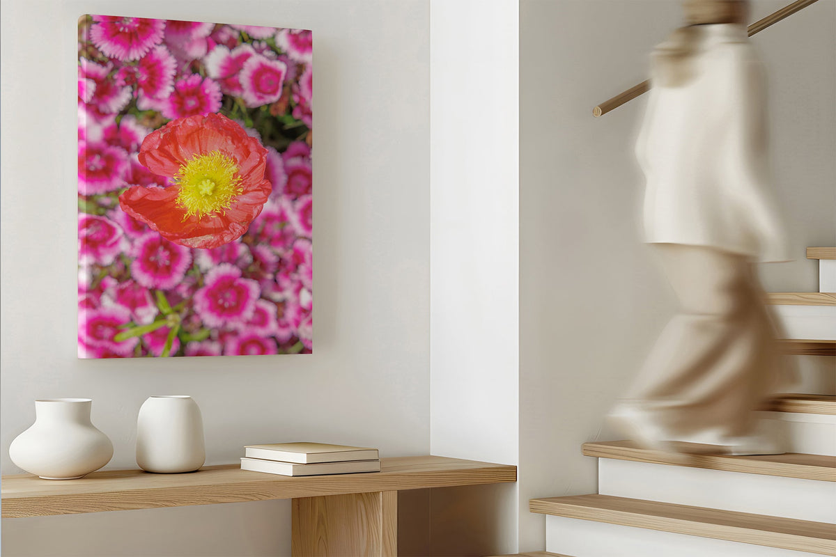 Poppy and pinks print shown as a canvas print.