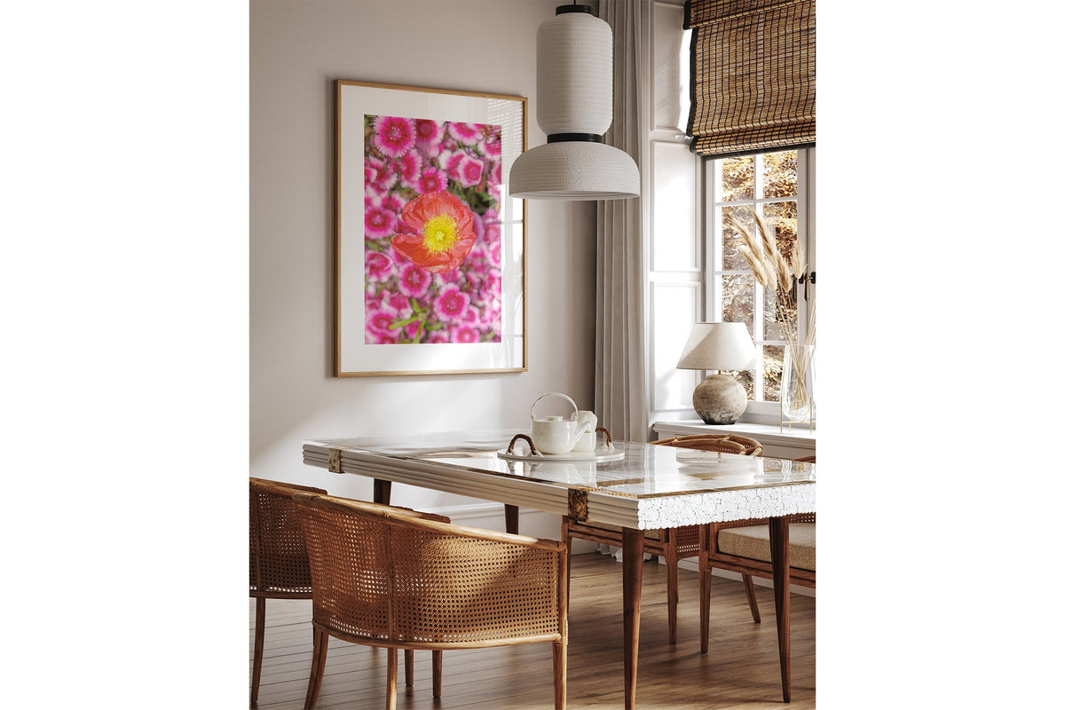 Poppy and pinks print shown framed in oak above a dining table.
