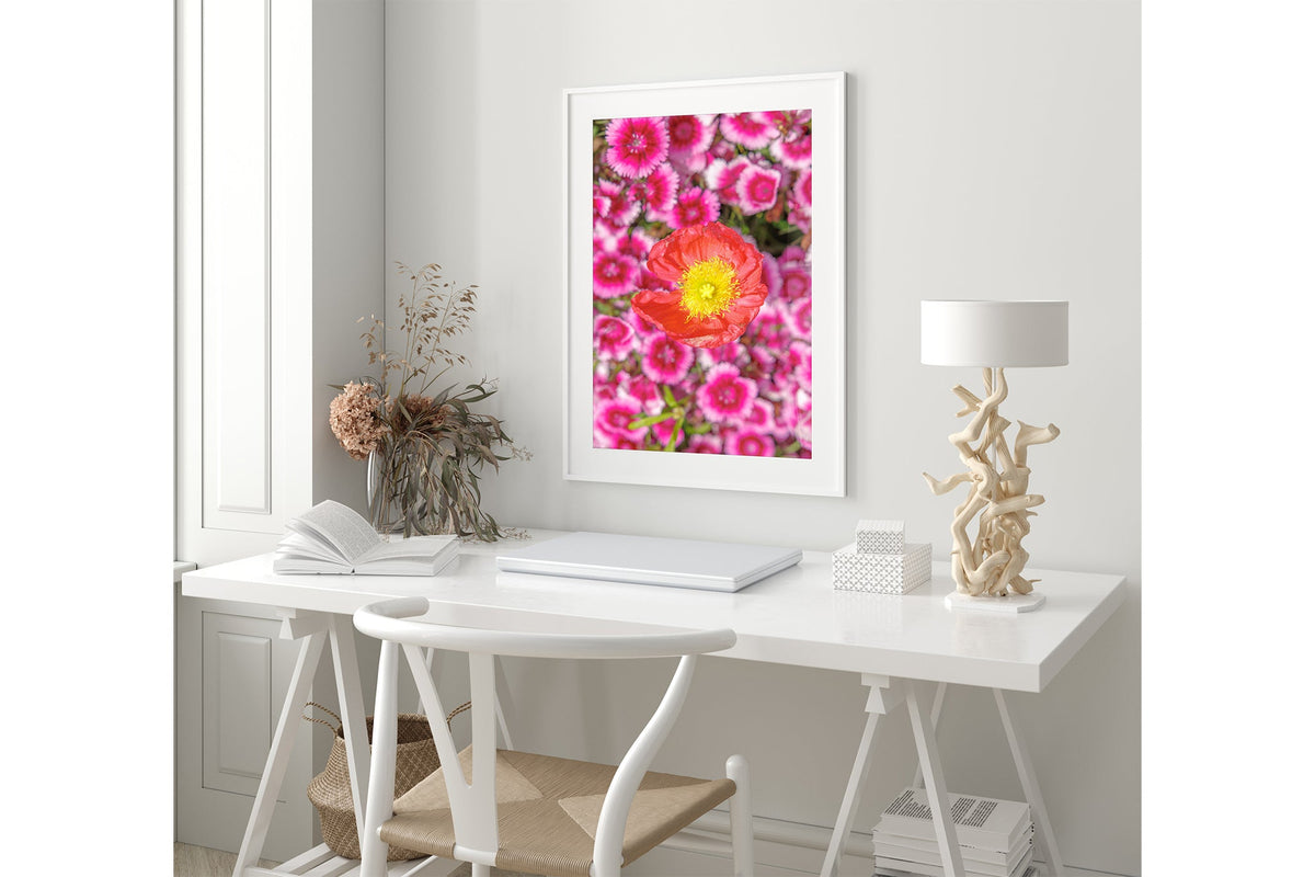 Poppy and pinks print shown framed in white.