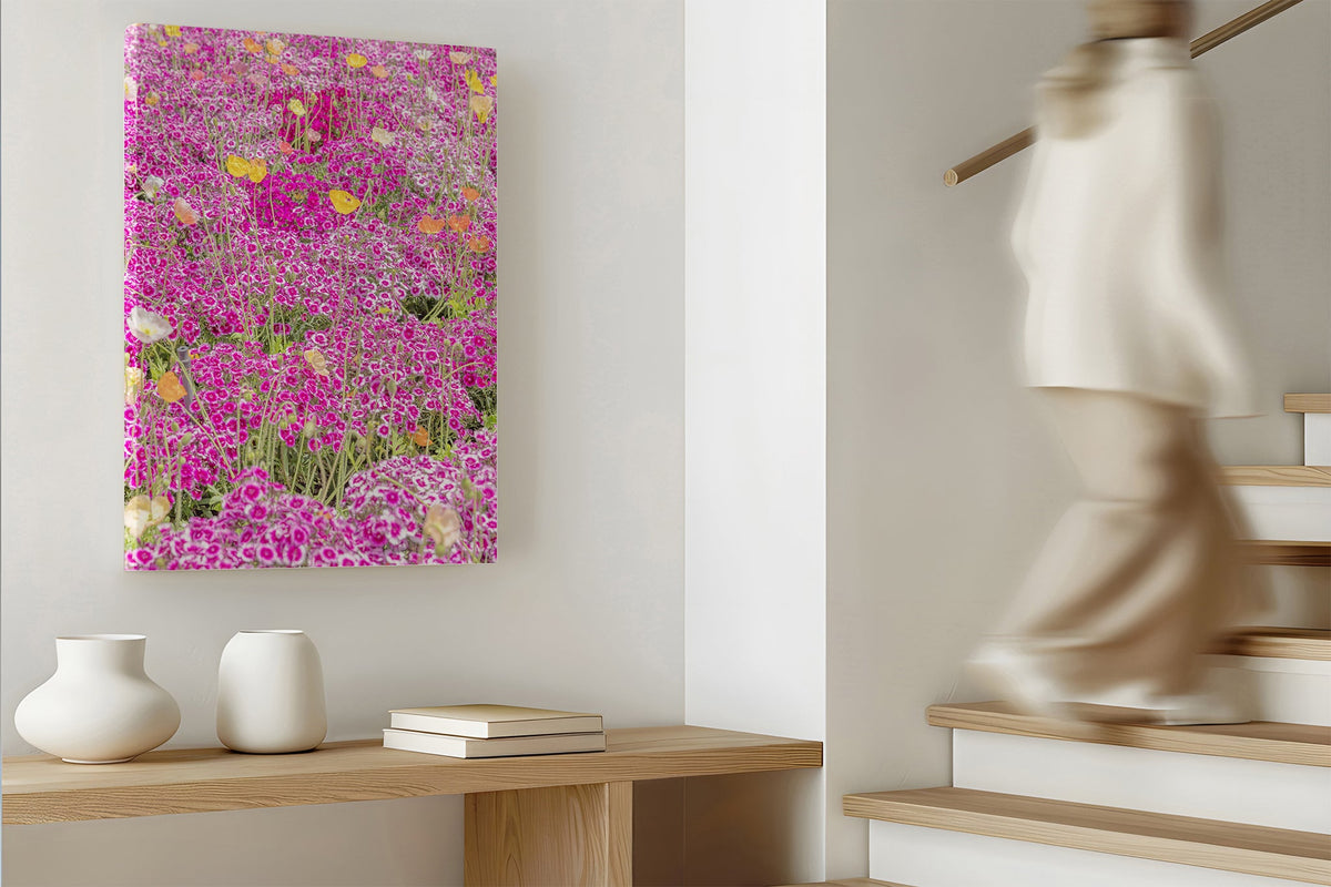 Sweet William carpet print shown as a canvas print.