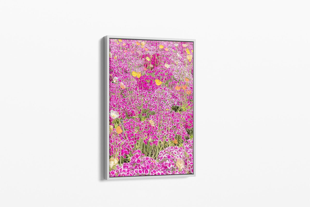 Sweet William carpet print shown as a canvas in a white float frame.