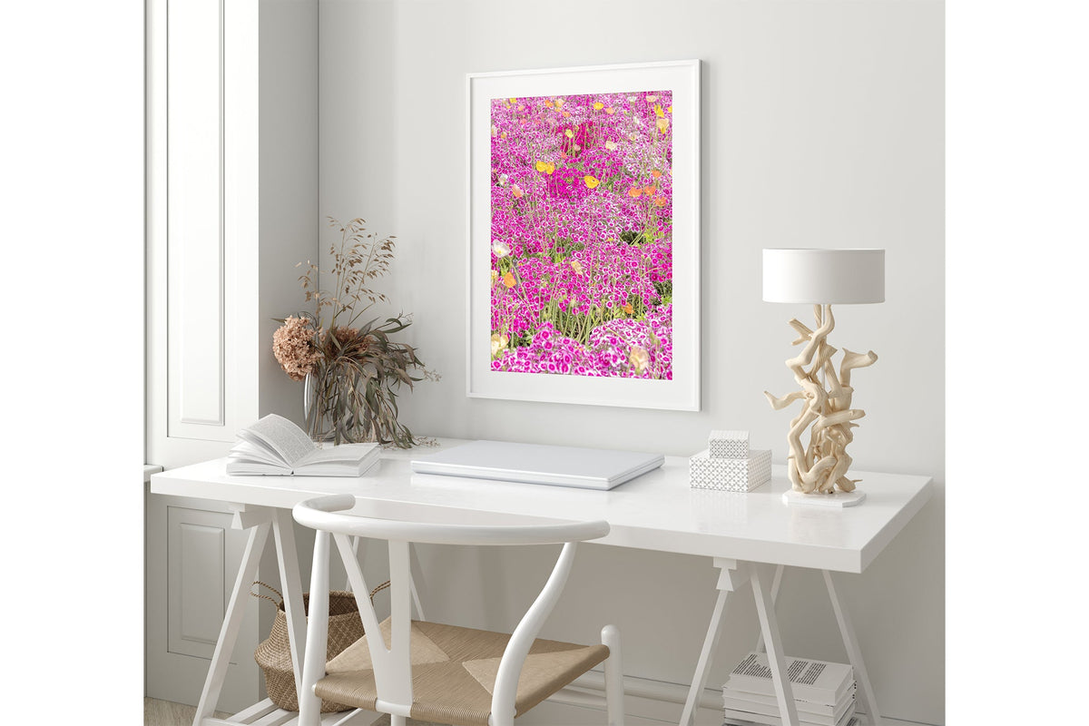 Sweet William carpet print shown framed in white.