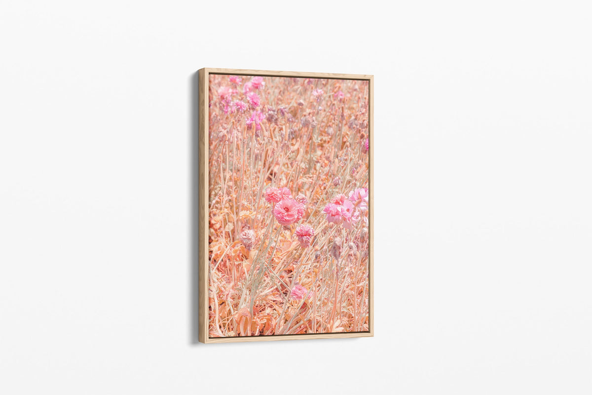 Faded ranunculus print shown as a canvas in an oak float frame.