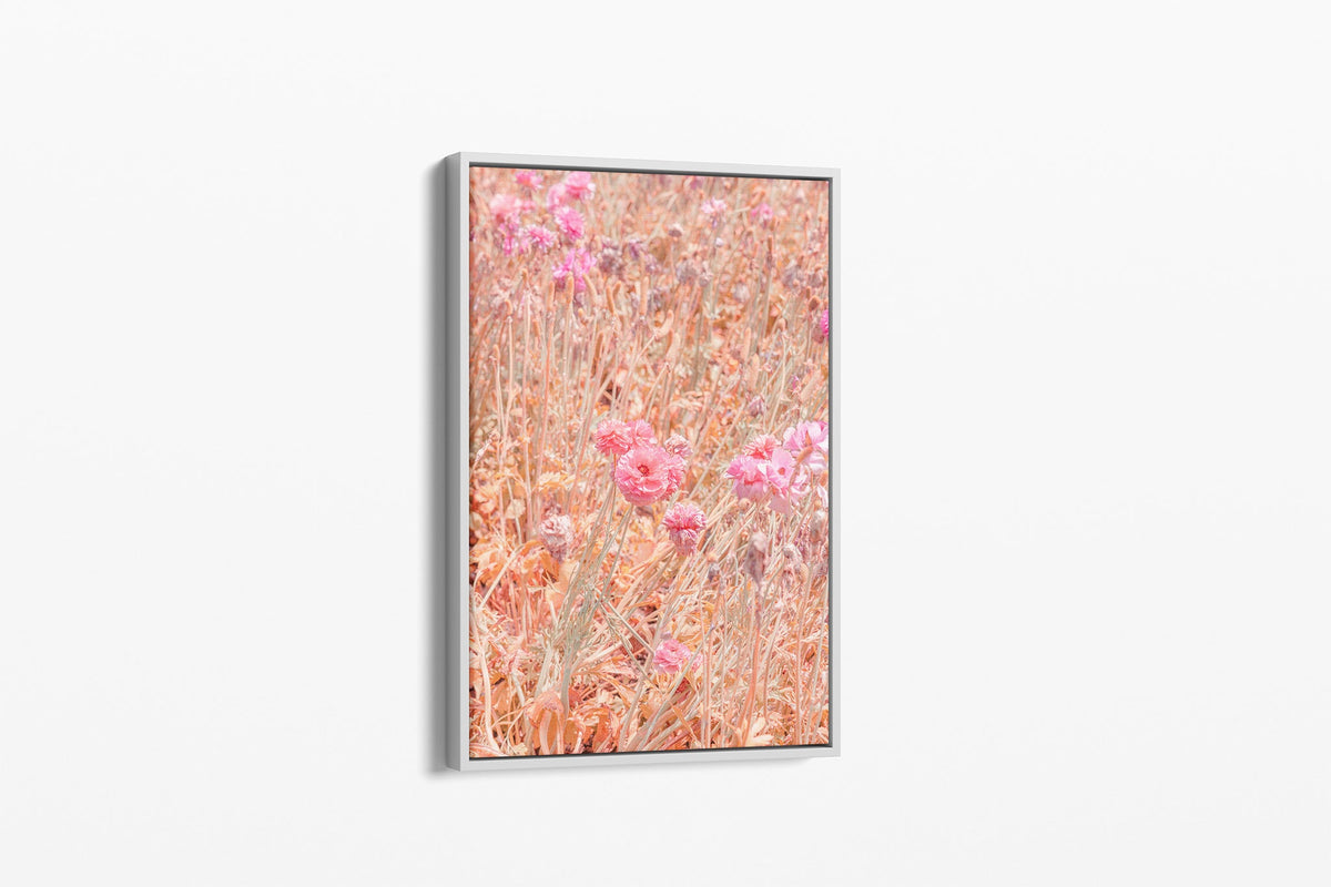 Faded ranunculus print shown as a canvas in a white float frame.