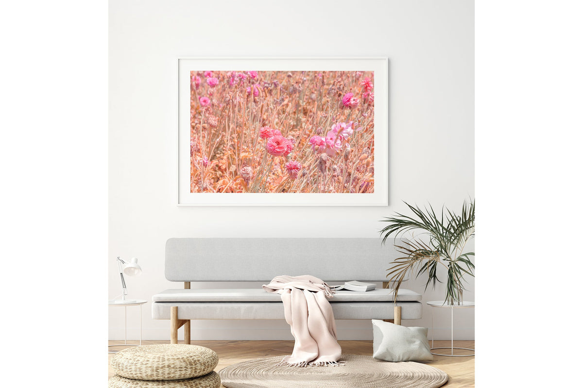 Faded ranunculus field print shown framed in white above a bench seat.
