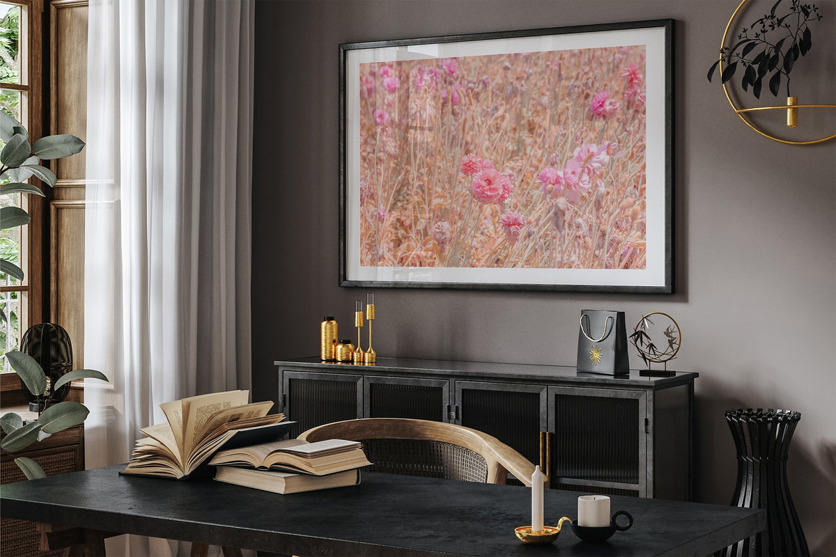 Faded ranunculus field print shown framed in black in a dark room.