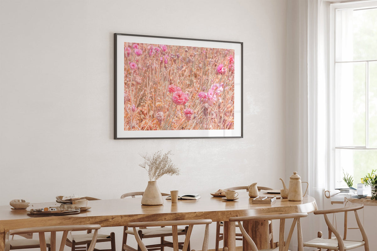 Faded ranunculus field print shown framed in black above an oak table.