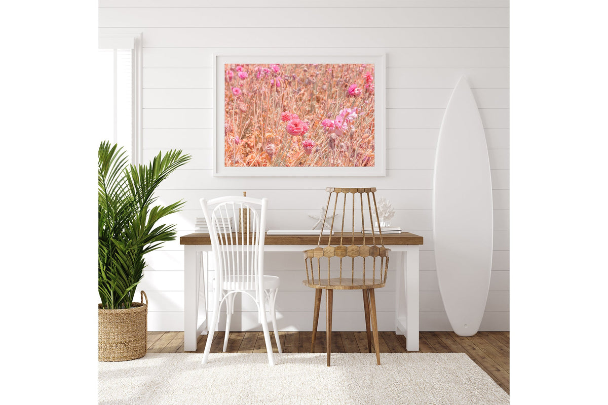 Faded ranunculus field print shown framed in white on a white shiplap wall beside a desk.