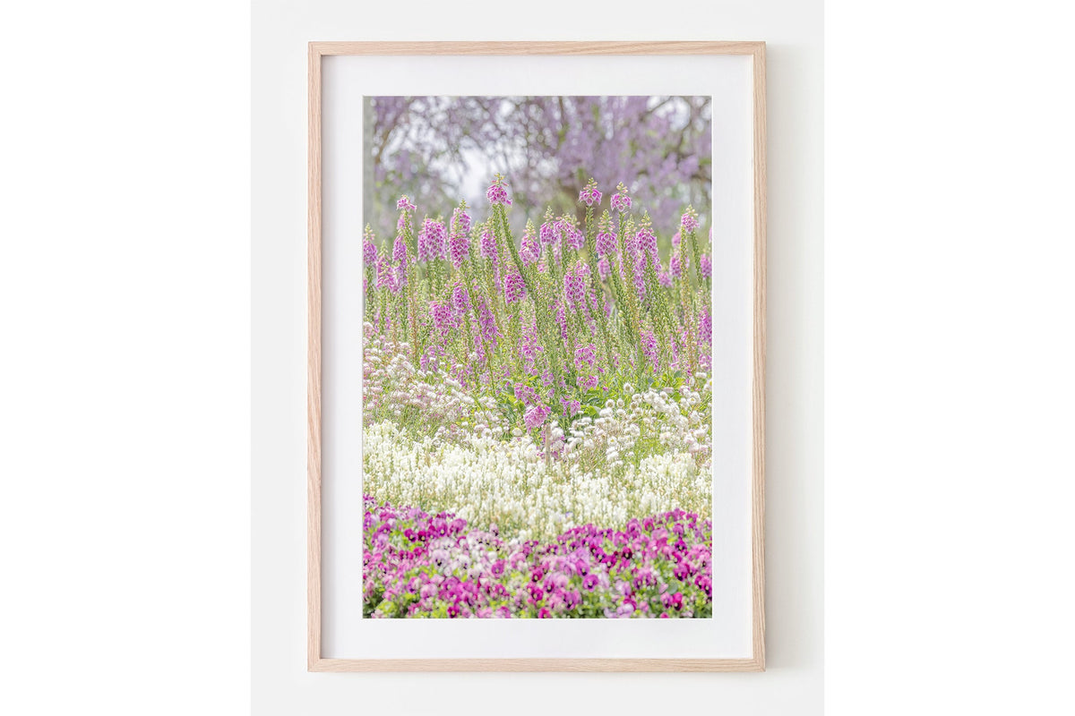 Foxglove garden layers print shown framed in oak with a white mat.