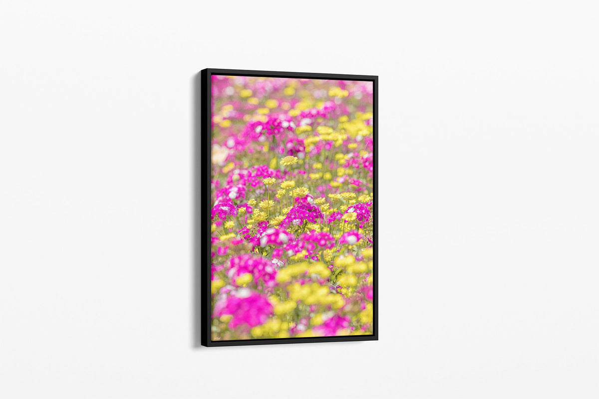 Pink and yellow meadow print shown as a canvas in a black float frame.