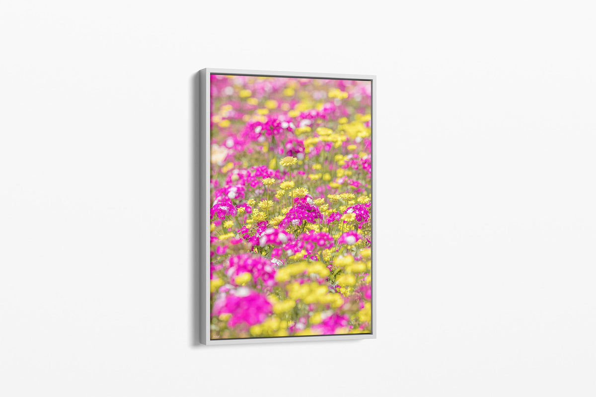 Pink and yellow meadow print shown as a canvas in a white float frame.