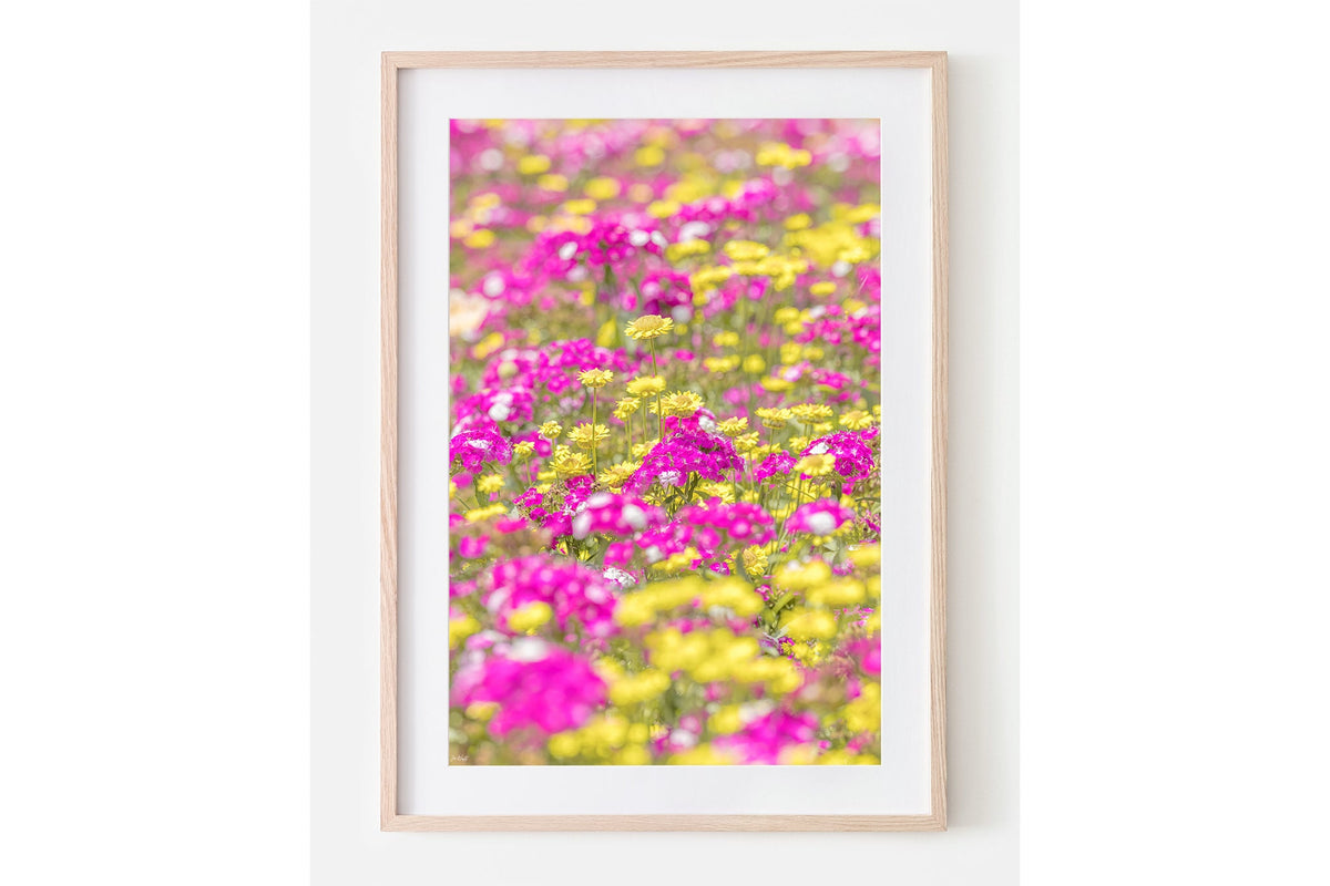 Pink and yellow meadow print shown framed in oak with a white mat.