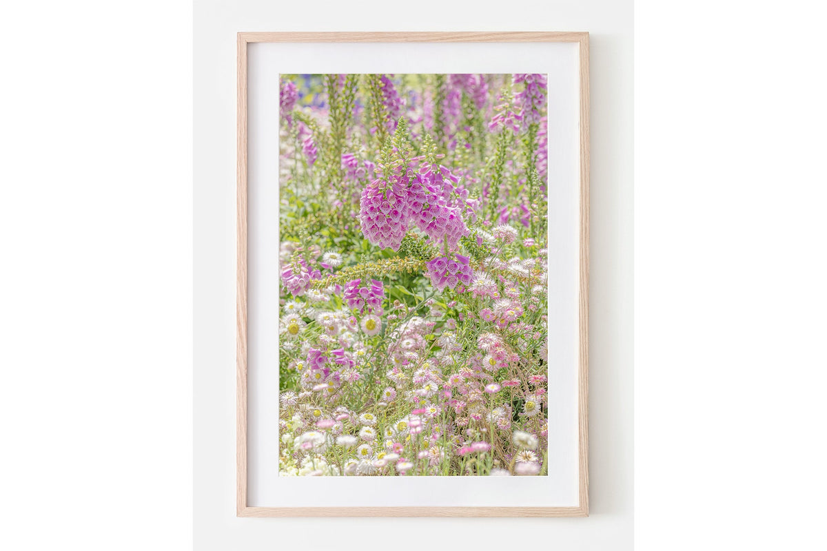 Foxglove meadow print shown framed in oak with a white mat.