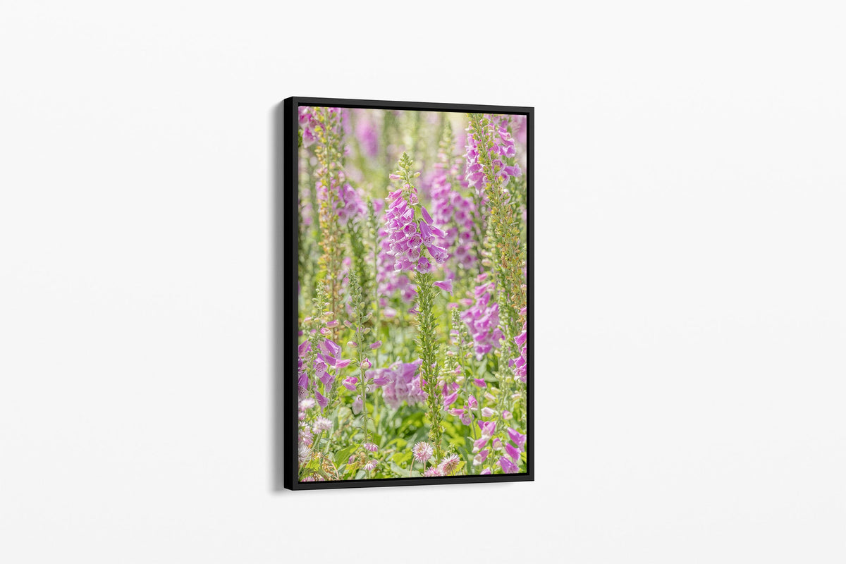 Lilac foxglove print shown as a canvas in a black float frame.