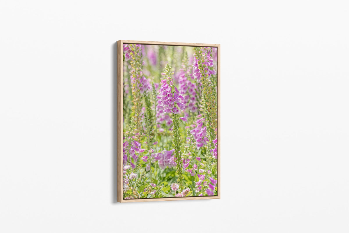Lilac foxglove print shown as a canvas in an oak float frame.