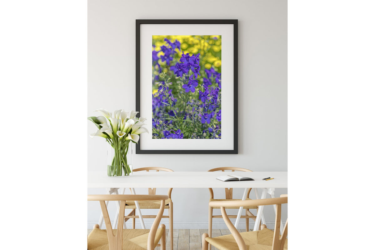 Indigo larkspur print shown framed in black.