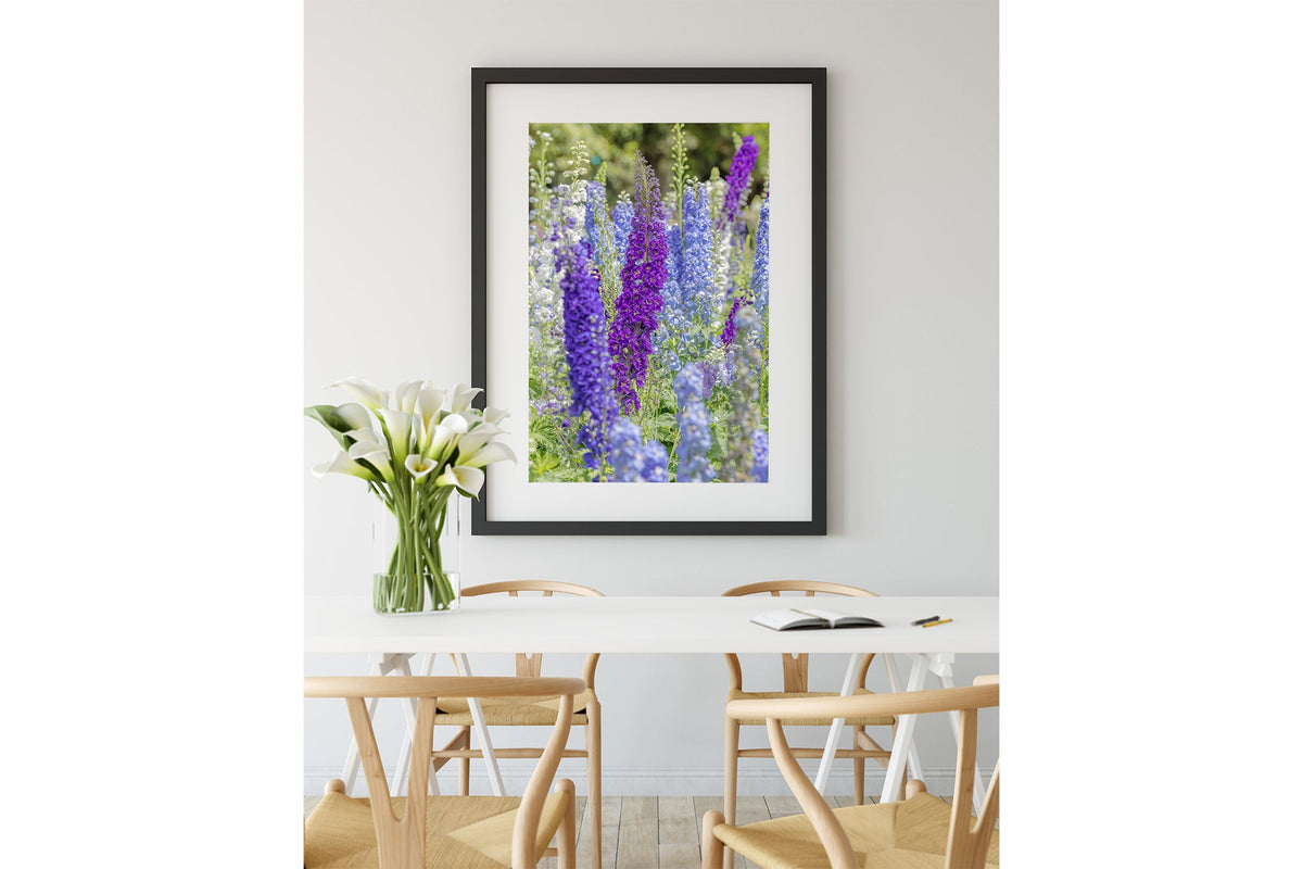 Delphinium print shown framed in black.