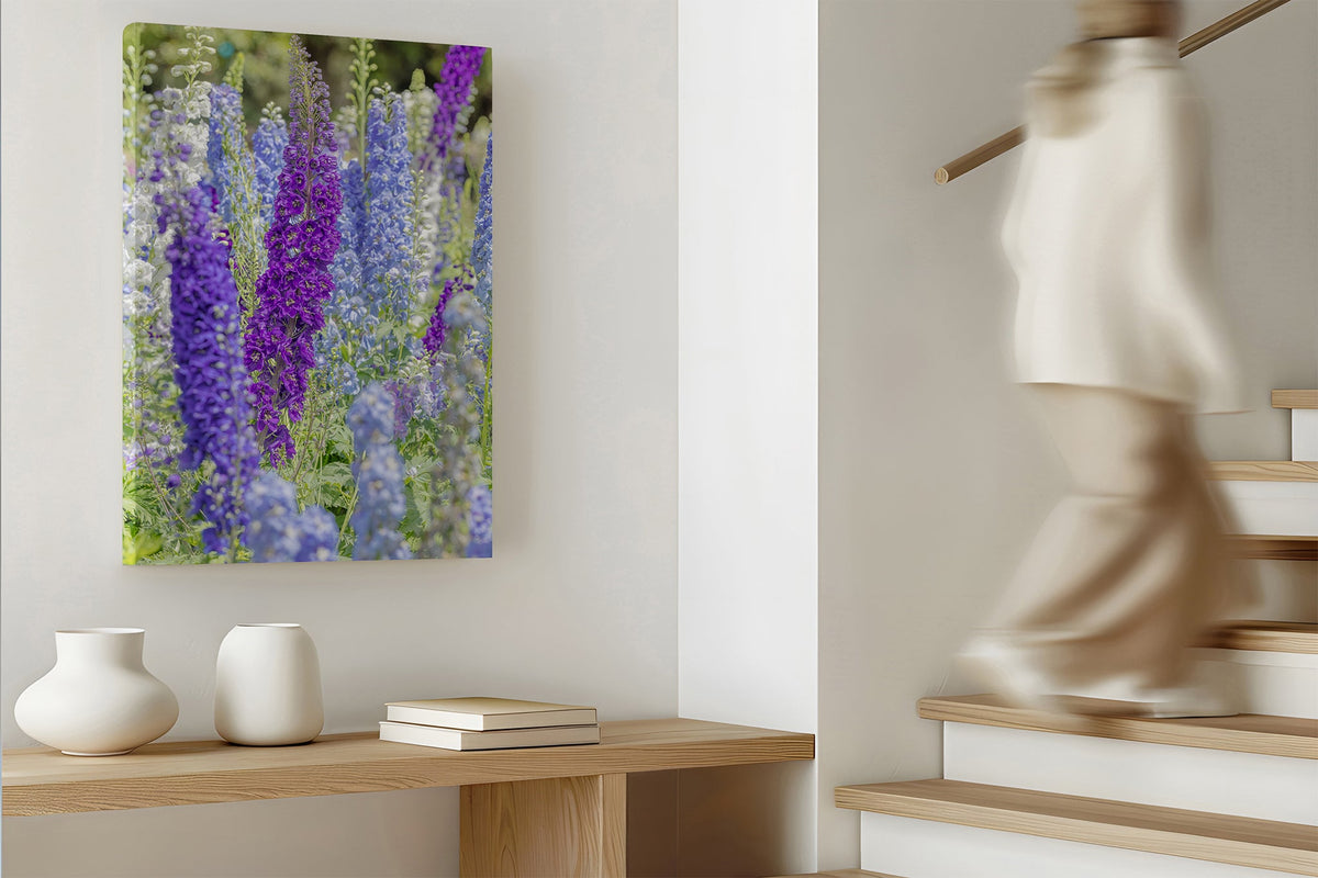 Delphinium print shown as a canvas print.