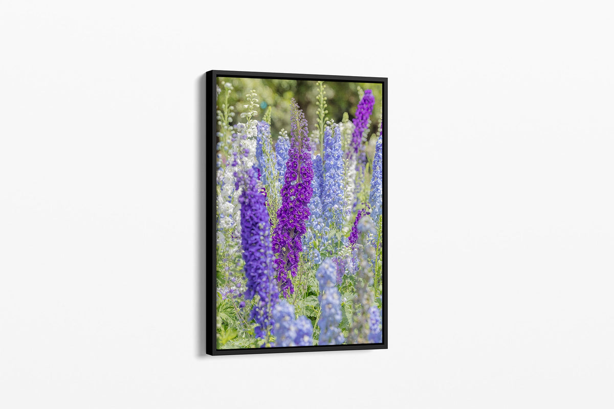 Delphinium print shown as a canvas in a black float frame.