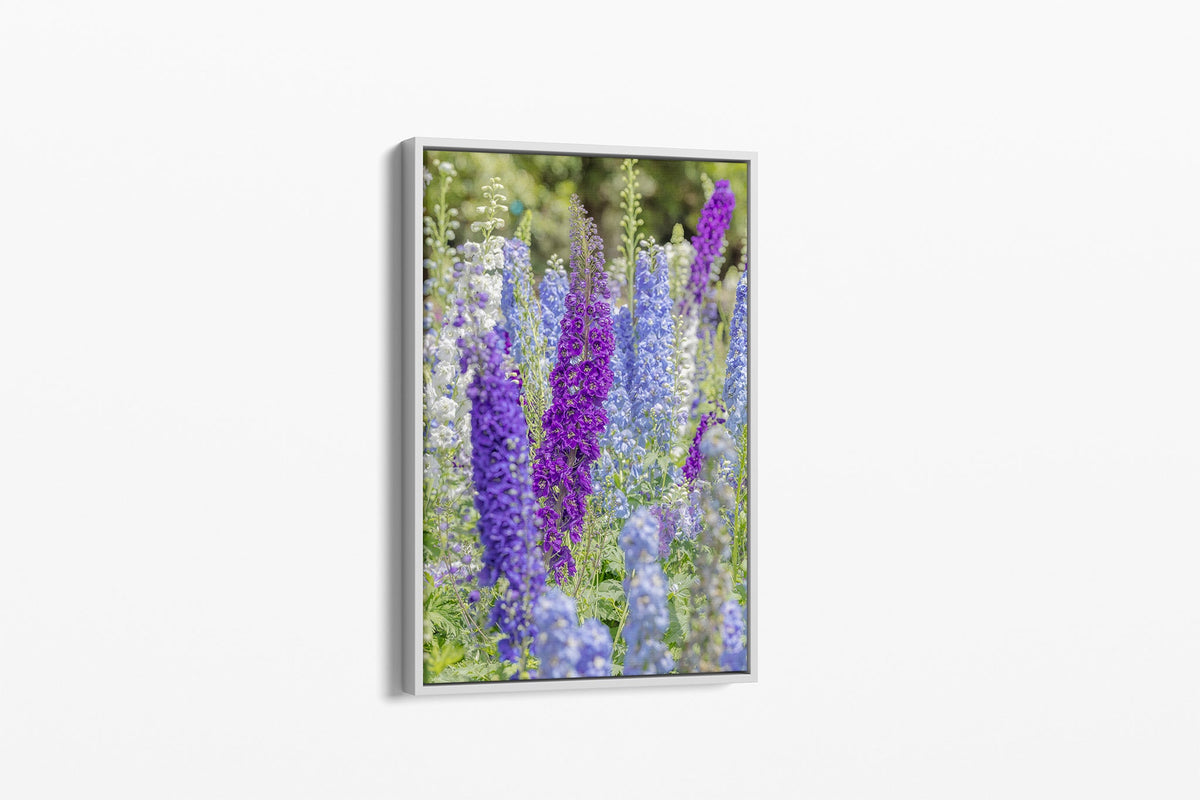 Delphinium print shown as a canvas in a white float frame.
