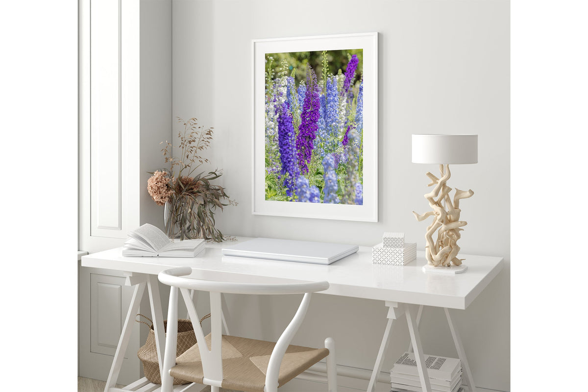 Delphinium print shown framed in white.