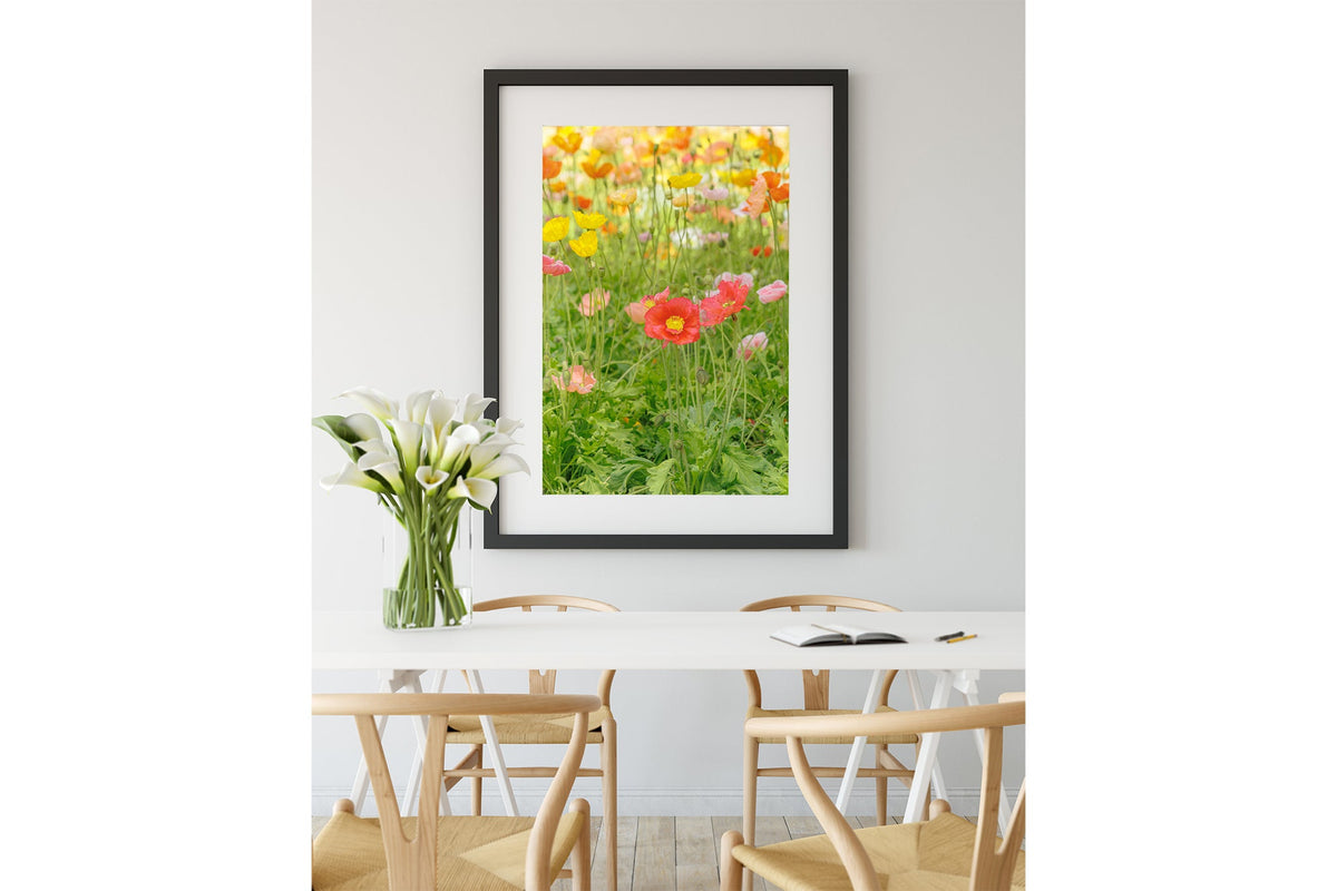 Iceland poppy print shown framed in black.