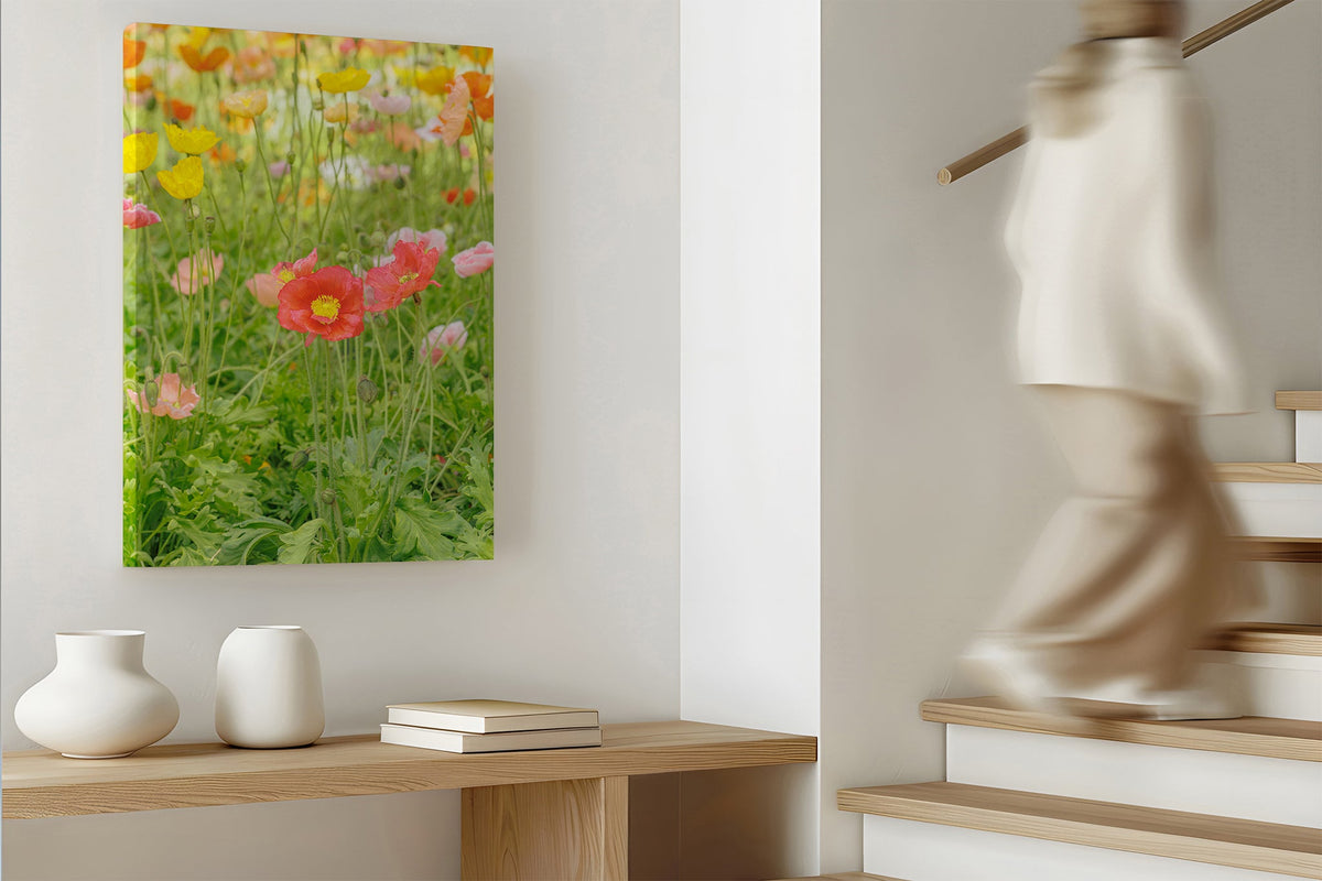 Iceland poppy print shown as a canvas print.